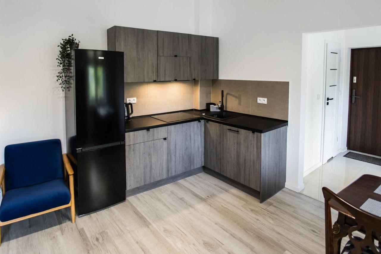 Apartament Kochanowskiego Stary Toruń Extérieur photo